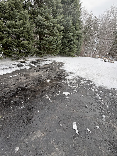 Photo from customer review