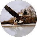 Raymond Lunt profile picture